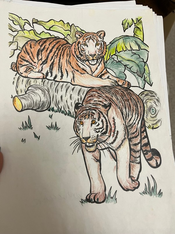 11